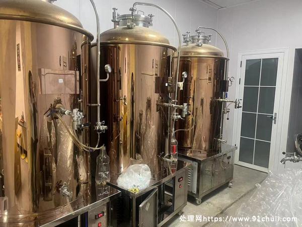 

精酿鲜啤设备500L一拖四多功能