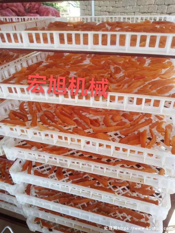 

真空浸糖锅：高效卫生的果脯制作设备